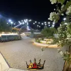 مخي م نجم سهيل   الدلم