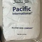 بذار برسيم امريكي ك101