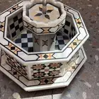مؤسسة زهرة الخليج الزراعية -نجران -دحضة