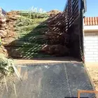 فسايل نخيل ونقايل نخيل للبيع