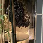 إزاله النحل العالق بالمنازل والمحلات والمزارع