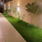 تنسيق حدائق صيانه الحدائق الشهريه والسنويه وبيع الثيل الطبيع