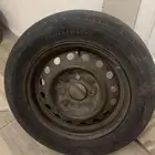 جنوط صني 2010