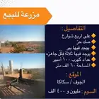 الجوف. سكاكا