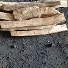 حطب طلح سوداني الدمازين والشاف