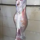 تيوس جنوبيه بلدي شرط