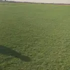 سي الفين ثيل