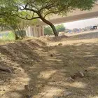 مطلوب شقه