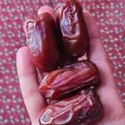 خضري فاخر 40 طن