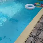 قولز حي عريض