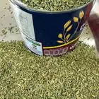 سنوت بلدي عثري قطفة السنة هذي
