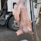 معلم مشاوي مشويات شوي