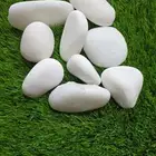 حصى زينة للحدائق المنزليه