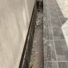 لتنسيق الحدائق والاستراحات