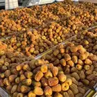 تمر القصيم وشحن مبرد الى باب البيت مع شركة شحن.