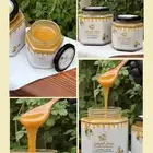 عسل سدر بلدي