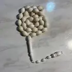 سبح عضم جميل