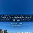 طار علي ببغان كاسكو فزعتكم ي اهل الشوقية الممشى القديم