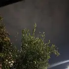 مطلووب لوحة مميزة بسعر 1000