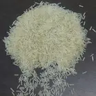 استيراد رز