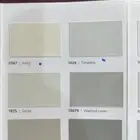صباغ حفر الباطن