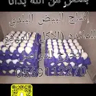 بيض بلدي مائده للأكل الخرج
