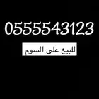 رقم مميز للبيع