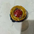 بلبل الراثن غير أصلي جودة عالية