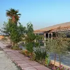 مربط العنود