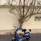 دباب كهربائي نضيف