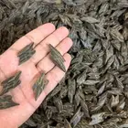 عود بخور بسعر الجملة