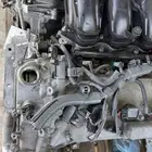 مكاين افالون يوجد تابي وتمارا. جيزان محافظه صامطه