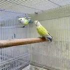 اجواز روز محلله ومنتحه