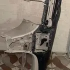 قشرة طبلون النتر الصامل يتصل