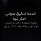 تعليق صوتي - فويس اوفر