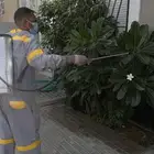 شركة الكفاءات لمكافحة الحشرات