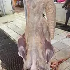 سواكن جذعان ذبيحتك لباب بيتك بسعر مميز