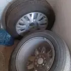 جنوط كراون فيكتوريا وكالة