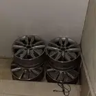 جنوط افالون للبيع