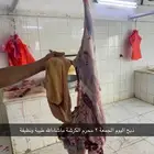 سواكن سمان فوق الوسط ب1050