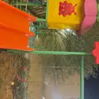 زحليقه