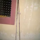 خيزران حوض جمس
