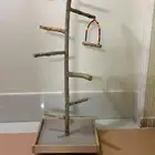 استاند خشب طبيعي