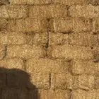 للبيع علف تبن قمح