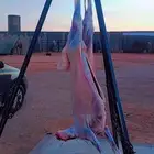 معلم مشويات شوي خارجي