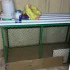 شبك دجاج
