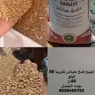 قمح