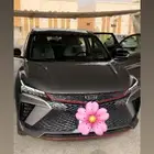 جيلي كولراي موديل 2025 لون رمادي