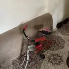 سيكل فراشه