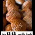 كليجا معمول منزلي منتجات منزليه كليجى بالتمر كيك شعبيات